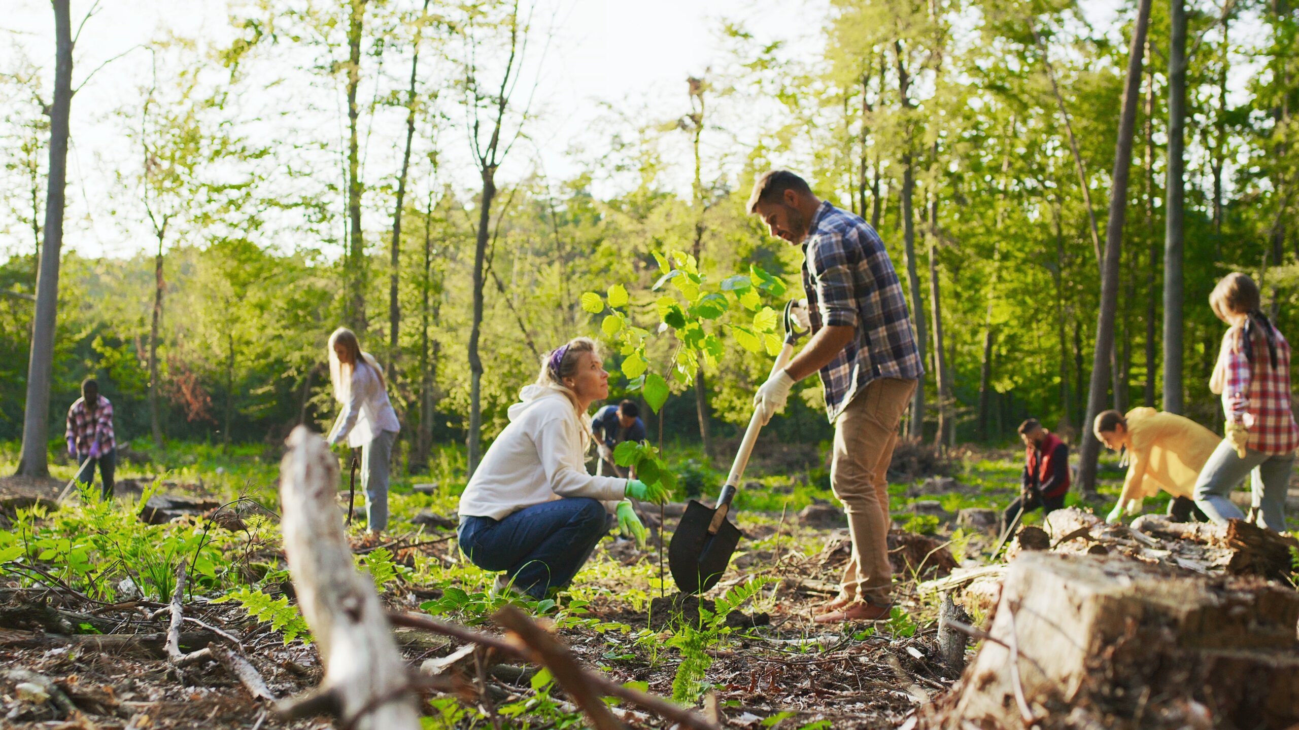 Image of two people planting trees to help the environment. This is one of the key features of GoVida the employee wellbeing platform. 